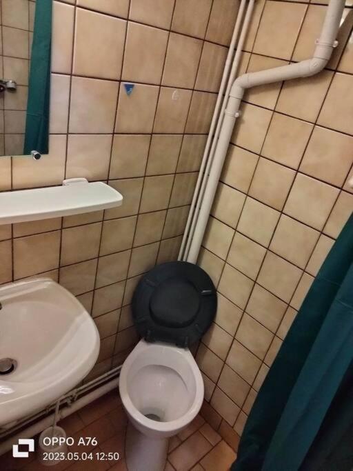 Le Nid Douillet Industriel Apartment La Bourboule Ngoại thất bức ảnh